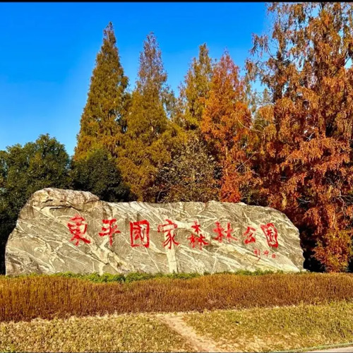 上海旅游景点-东平国家森林公园