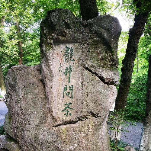 浙江旅游景点-龙井问茶