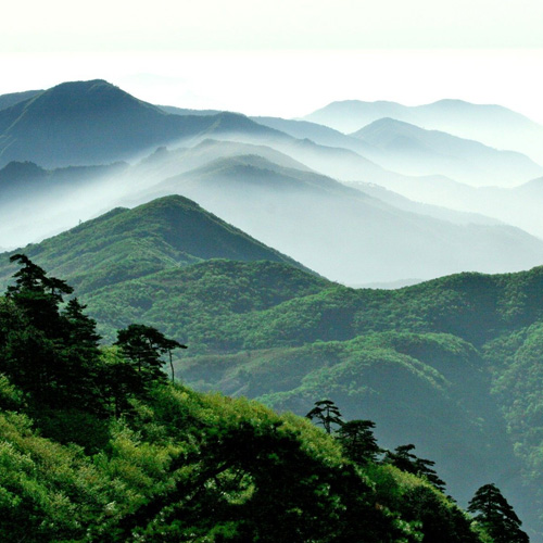 浙江旅游景点-西天目山