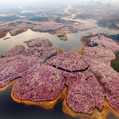 红枫湖