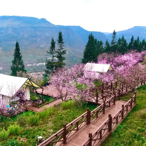 贵州旅游景点-桃花公园