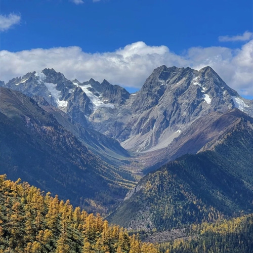 云南旅游景点-白马雪山