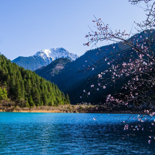 四川旅游景点-树正沟